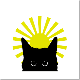 Black Cat and  Sun Posters and Art